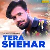 About Tera Shehar Song